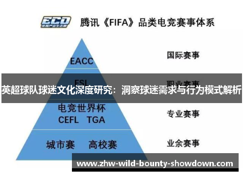 英超球队球迷文化深度研究:洞察球迷需求与行为模式解析 英超球队球迷文化深度研究:洞察球迷需求与行为模式解析