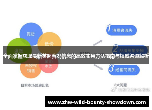 全面掌握获取最新英超赛况信息的高效实用方法指南与权威渠道解析