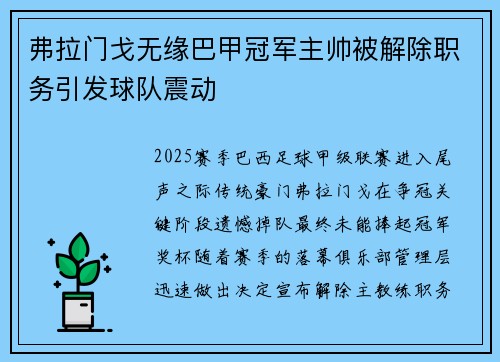 弗拉门戈无缘巴甲冠军主帅被解除职务引发球队震动